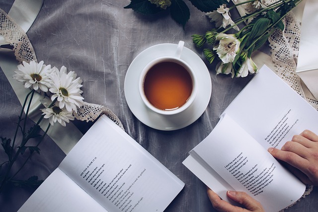 Ontdekken van de digitale bibliotheek: een duik in internet boeken